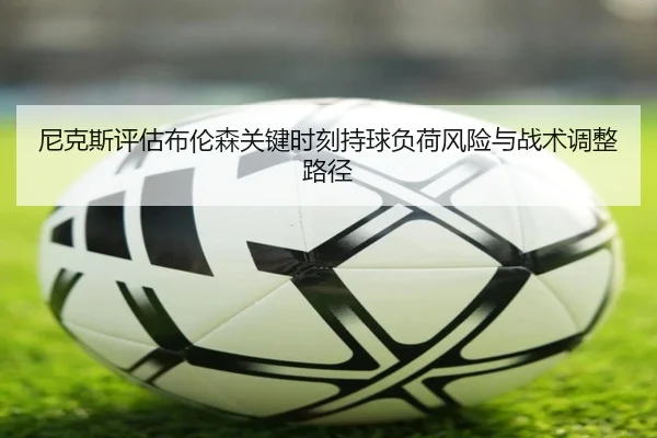 ni-ke-si-ping-gu-bu-lun-sen-guan-jian-shi-ke-chi-qiu-fu-he-feng-xian-yu-zhan-shu-tiao-zheng-lu-jing-3-344.jpg