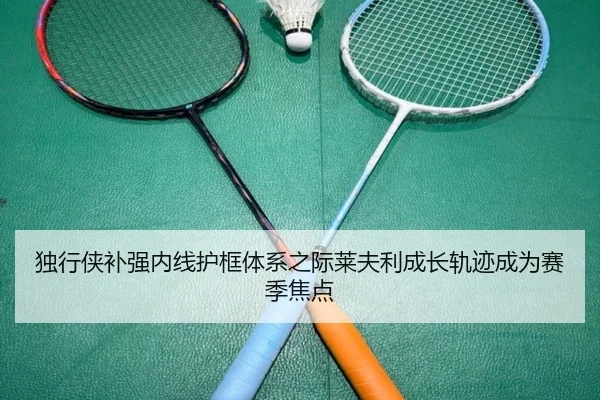 独行侠补强内线护框体系之际莱夫利成长轨迹成为赛季焦点